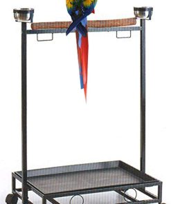 Large Wrought Iron Parrot Bird Play Stand Natural Wood Perch Stainless Steel Bowls Play Gym Play Ground Rolling Stand
